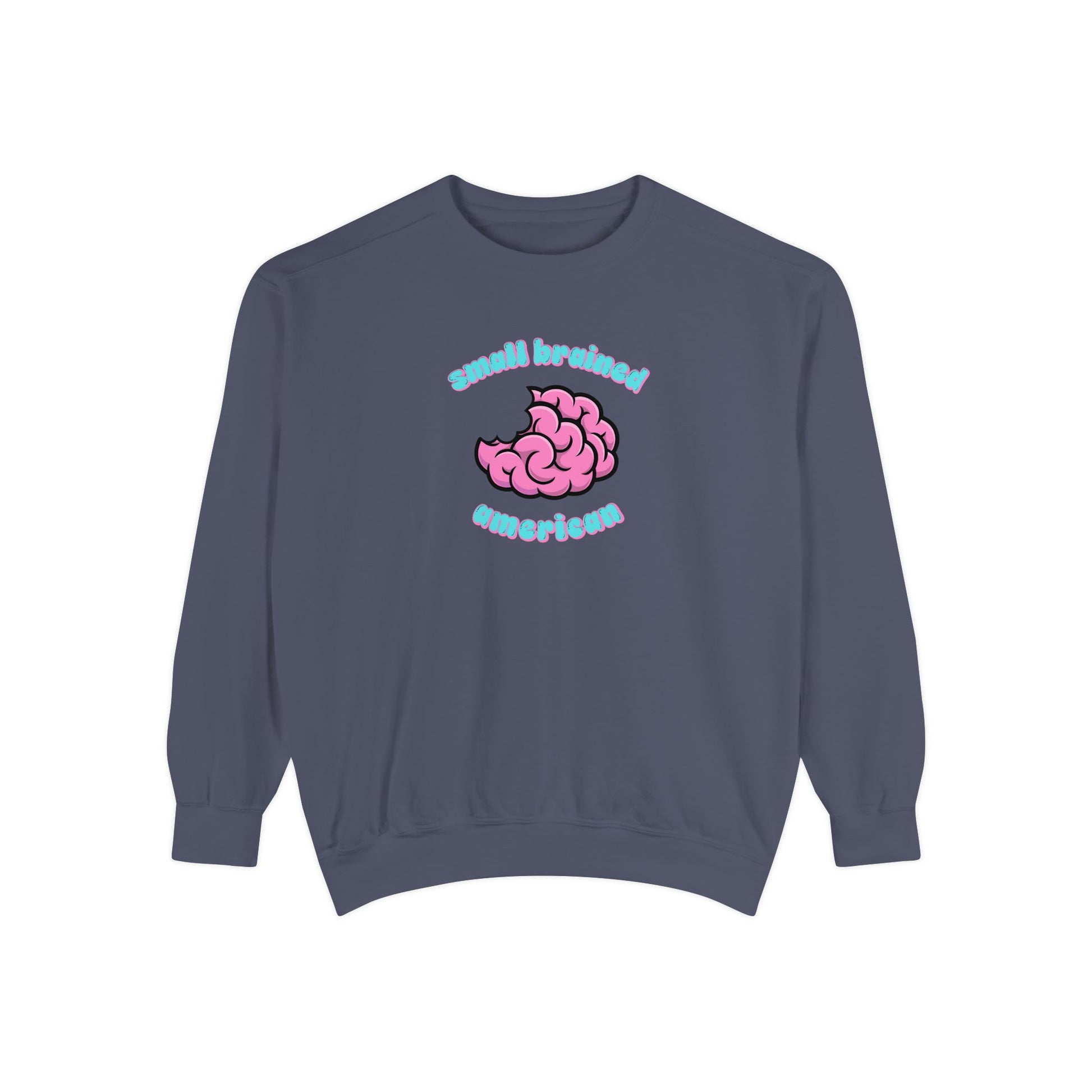 SBA Sweatshirt