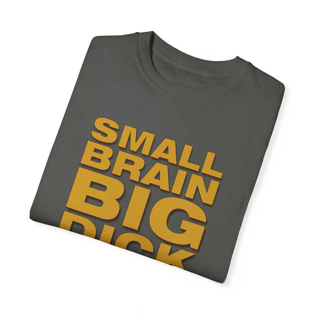 Small Brain Big D*ck Graphic Tee