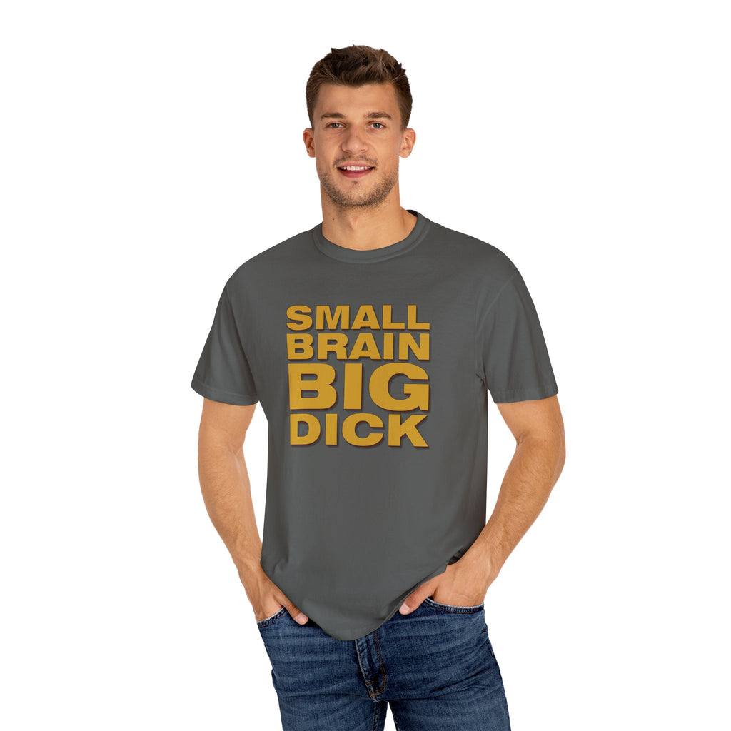 Small Brain Big D*ck Graphic Tee