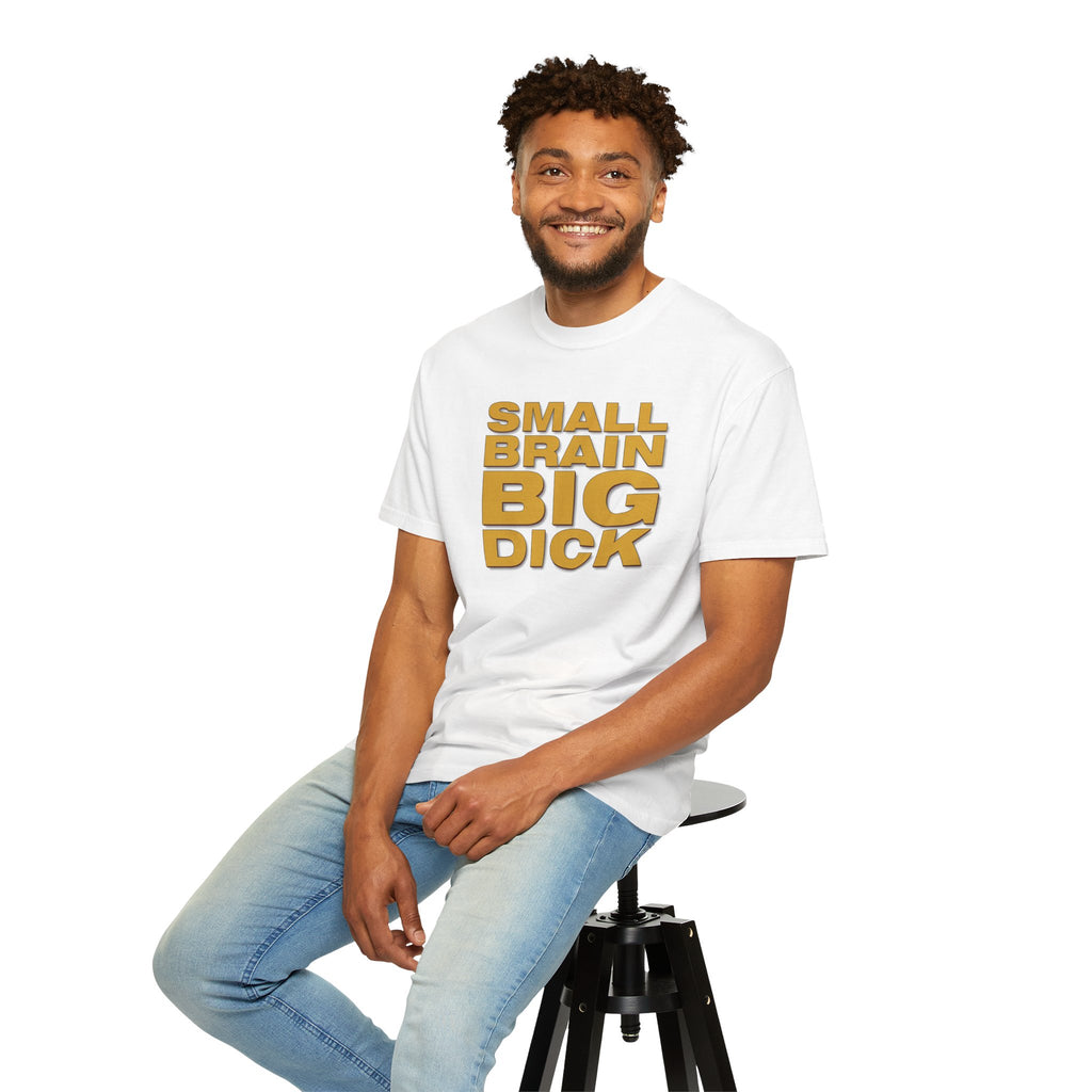 Small Brain Big D*ck Graphic Tee